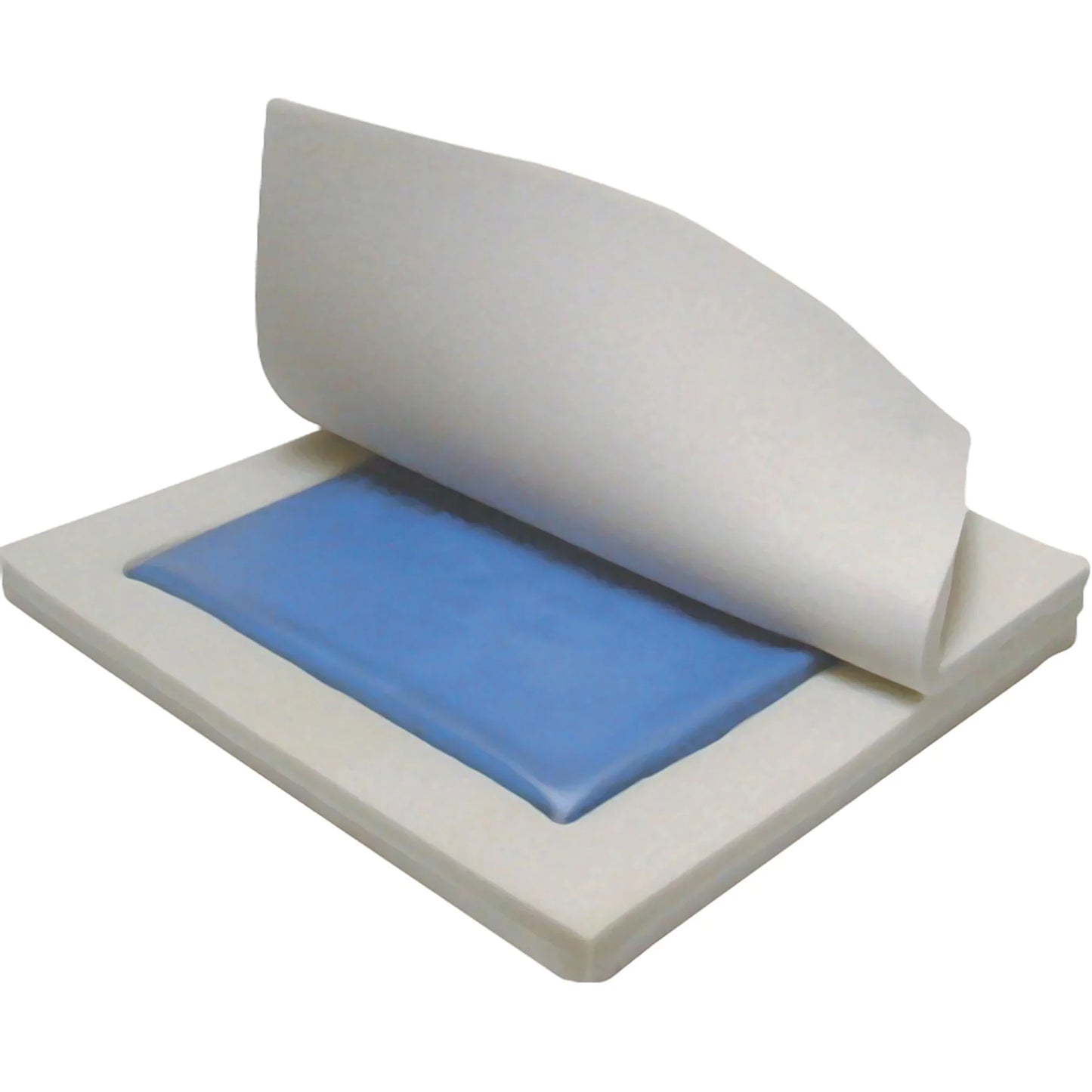 Foam roller with blue pad on a white background
