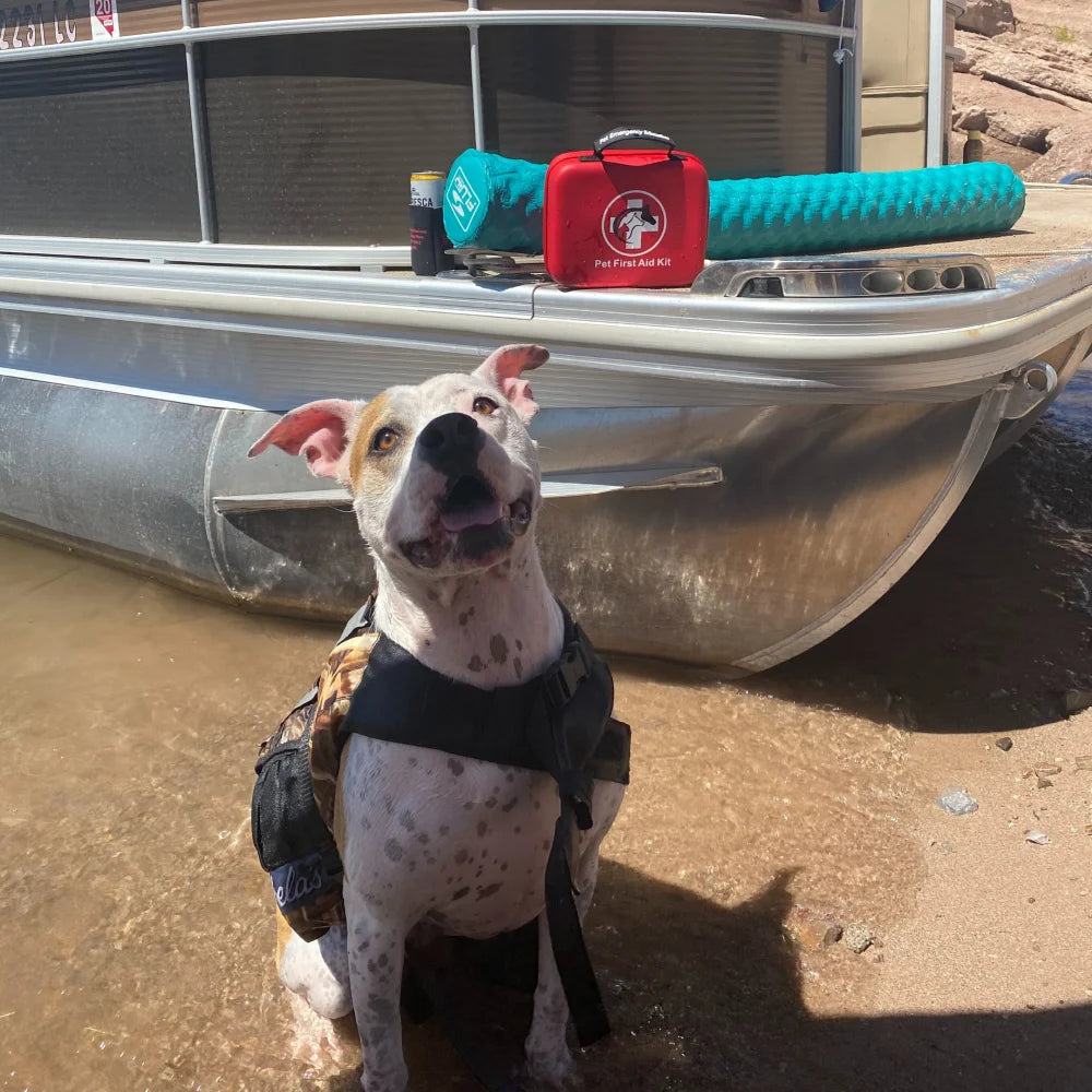 Dog wearing a life jacket in front of a boat on a sandy shore