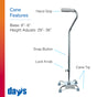 Days branded cane on a white background