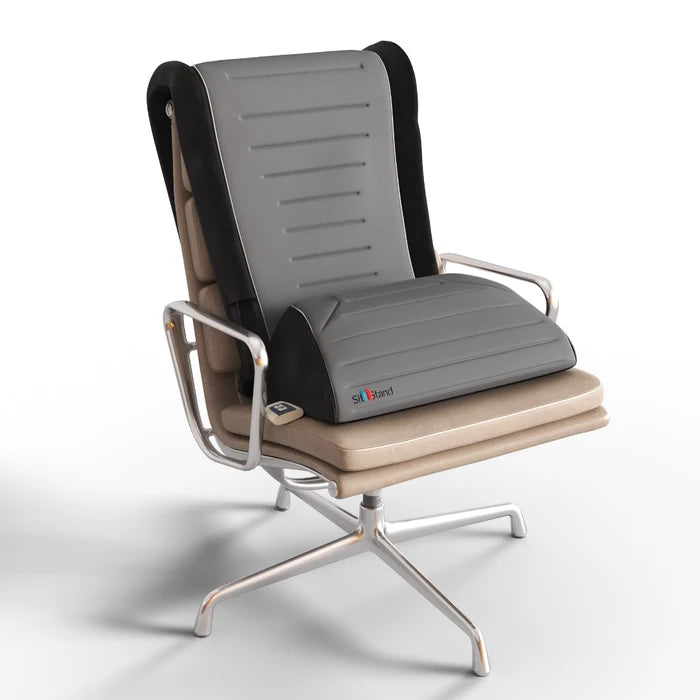 Modern office chair with a gray cushion and metal frame on a white background
