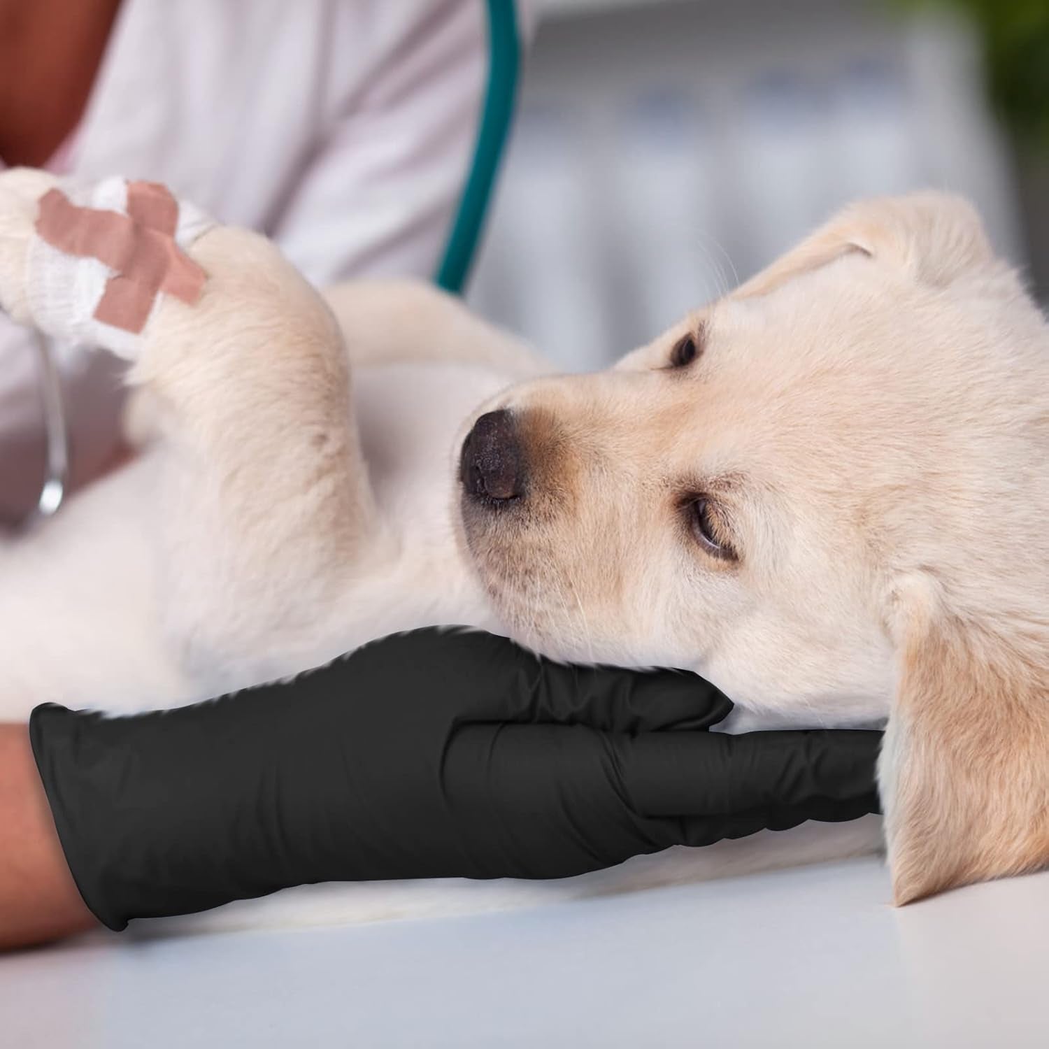 Hands wearing GMG black nitrile gloves. Ideal for medical exams, food prep, and cleaning tasks.