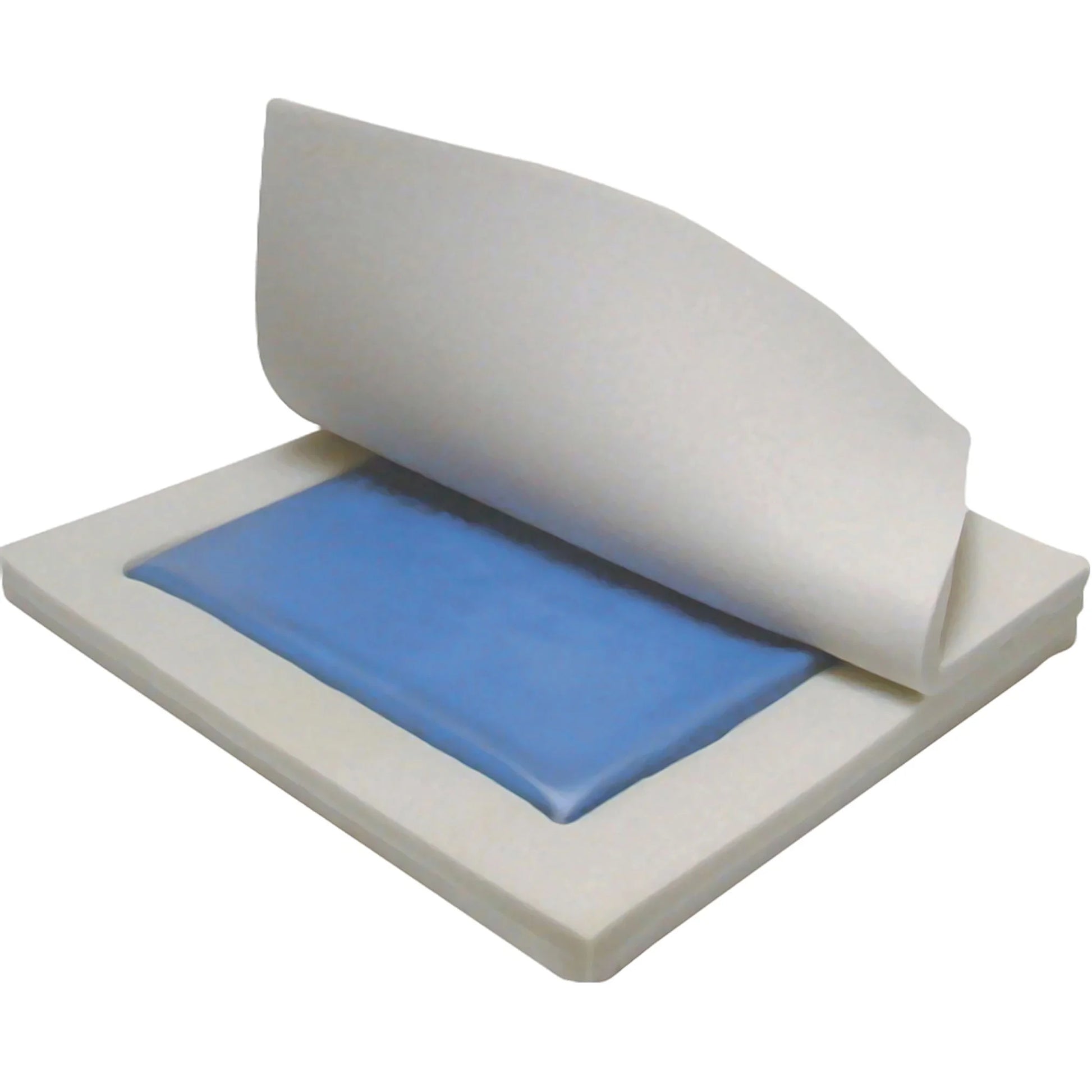 Foam roller with blue pad on a white background

