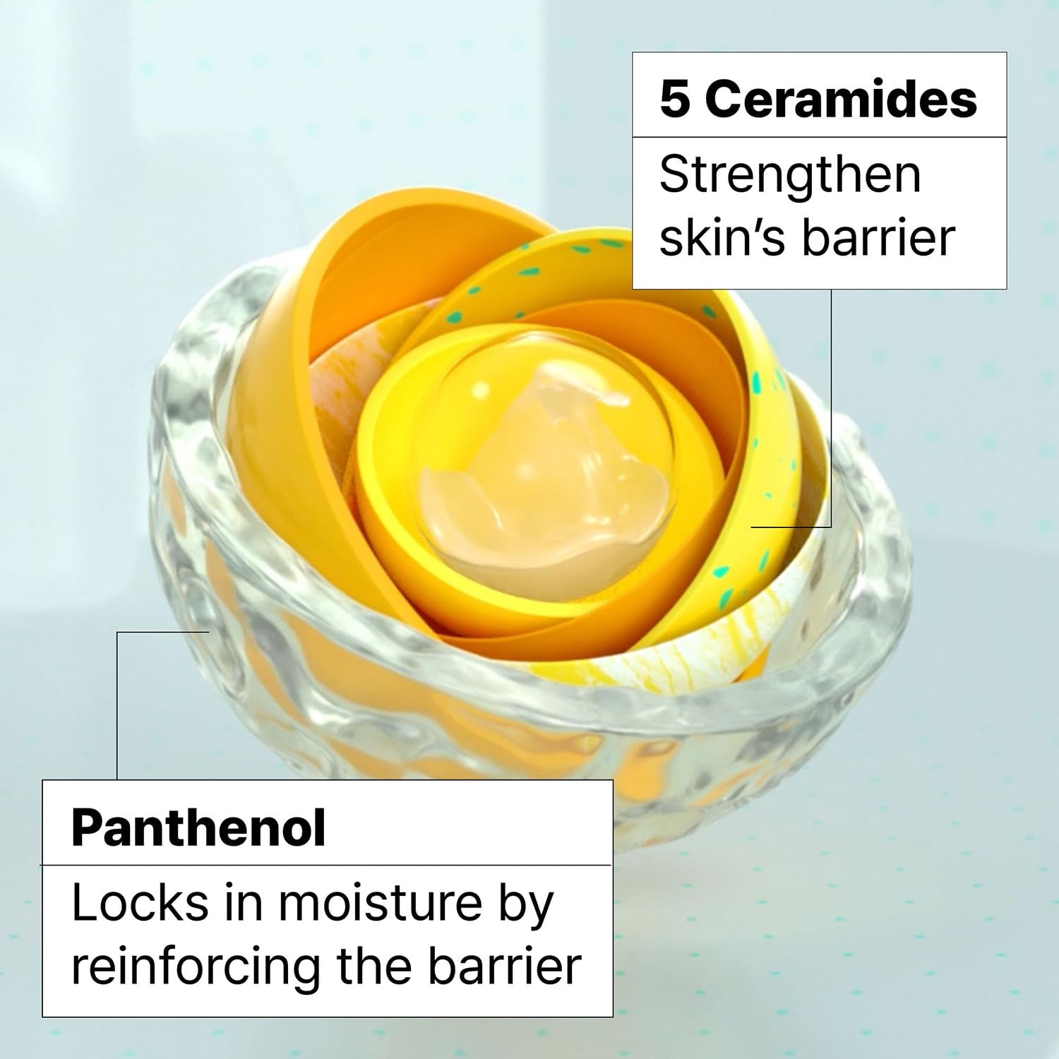 Cosmetic product with text highlighting '5 Ceramides' and 'Panthenol' on a light blue background

